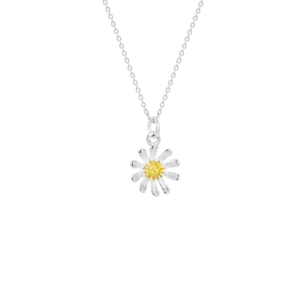 Evolve wild daisy necklace in sterling silver and gold plate - 55cm