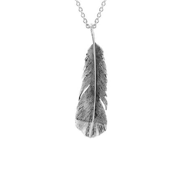 Evolve huia feather necklace in sterling silver with cable chain - 55cm