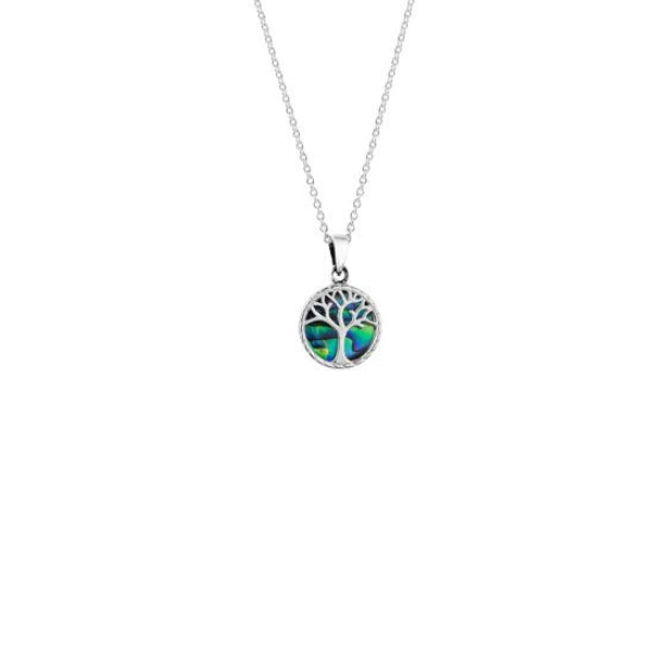 Evolve tree of life necklace in paua and sterling silver