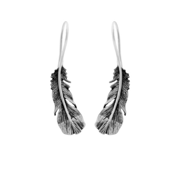 Evolve huia feather hook earrings in sterling silver
