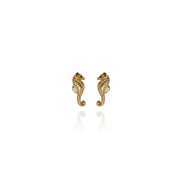 Evolve mini seahorse stud earrings in gold plated sterling silver
