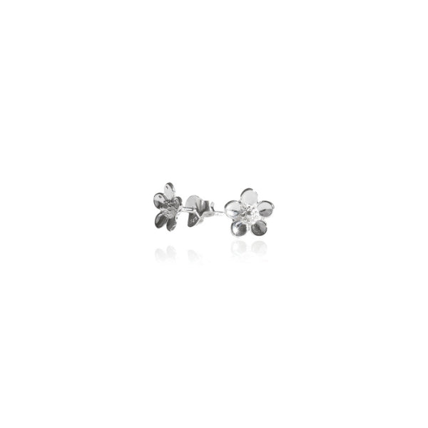 Silver manuka stud earrings from evolve