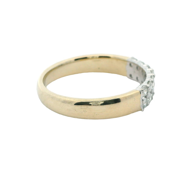 Darcy - 9ct yellow gold Anniversary band with a double row of Diamonds