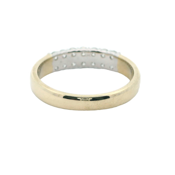 Darcy - 9ct yellow gold Anniversary band with a double row of Diamonds