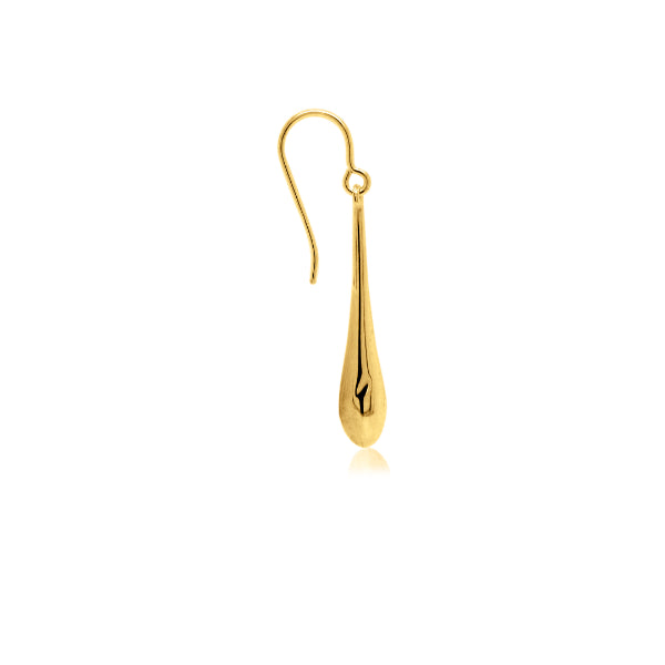 Oblong drop hook earrings in 9ct yellow gold