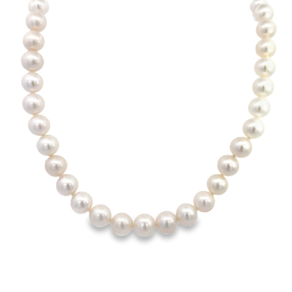 Strand of A grade white fresh water pearls with push button clasp - 42cm