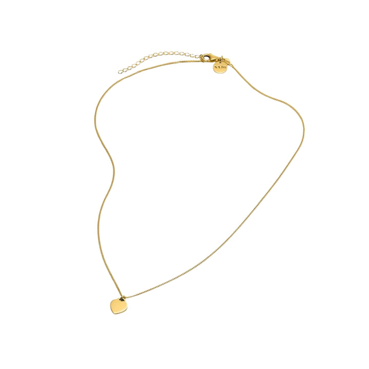 Najo - the promise necklace flat heart on 45cm chain + extension in gold plated sterling silver