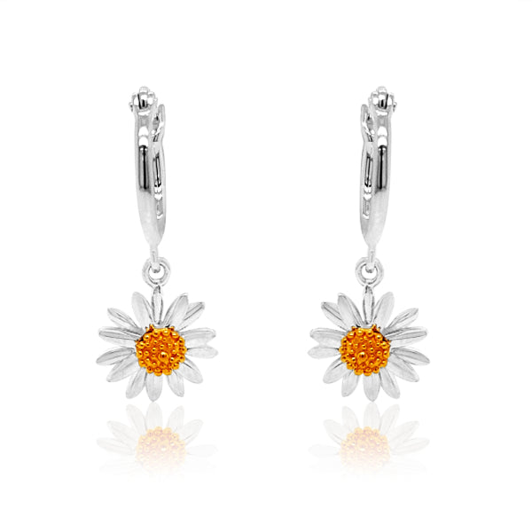 English daisy hoop drop earrings with gold plated centre in sterling silver 10mm