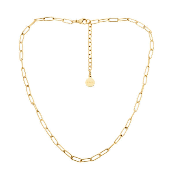 Ellani paperclip chain in yellow gold plated stainless steel