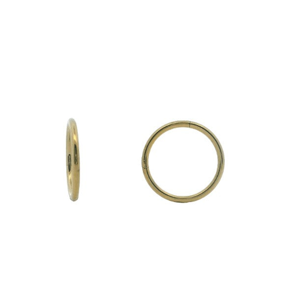 Sleeper earrings in titanium and PVD gold plate