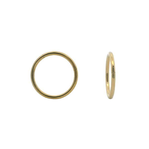 PVD gold plated Titanium Sleeper earrings