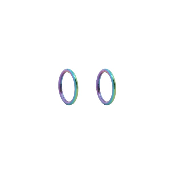 Sleeper earrings in multi coloured titanium