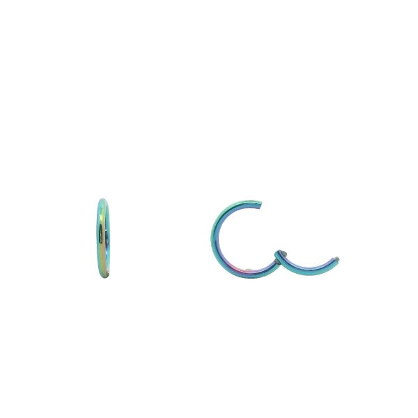 Sleeper earrings in multi coloured titanium - 12mm